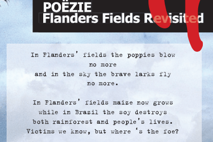 In Flanders Fields Revisited