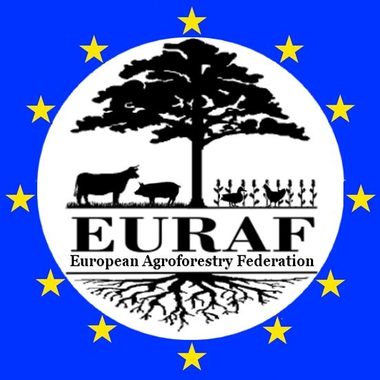 LOGO EURAF europeanstarscolor