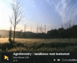 Bekijk een filmpje dat uitlegt hoe agroforestry werkt!
