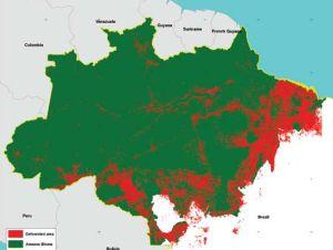 Ontbossing in de Amazone